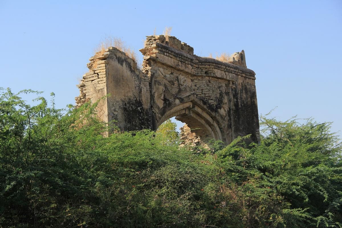 Remains of the past Firozabad’s monumental gateway decorated with lions or tigers, the first use of animal motifs in an Islamic building in India.Photo credit: Meera Iyer and Aravind C
