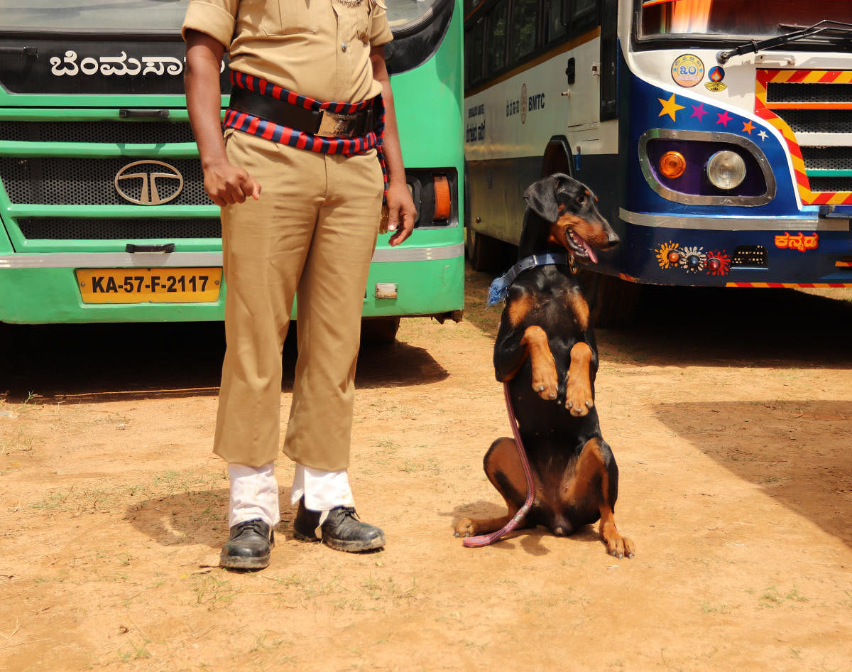 A policeman of the City Armed Reserve Force’s dog contingent poses with a 10-month-old police Doberman named Minchu during the Independence Day parade at Field Marshal Manekshaw Parade grounds in Bengaluru on August 15, 2019.