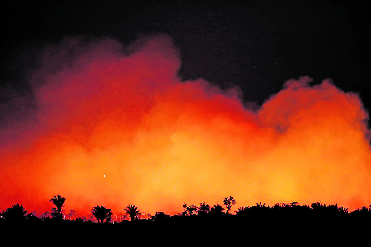A forest fire in the Amazon  