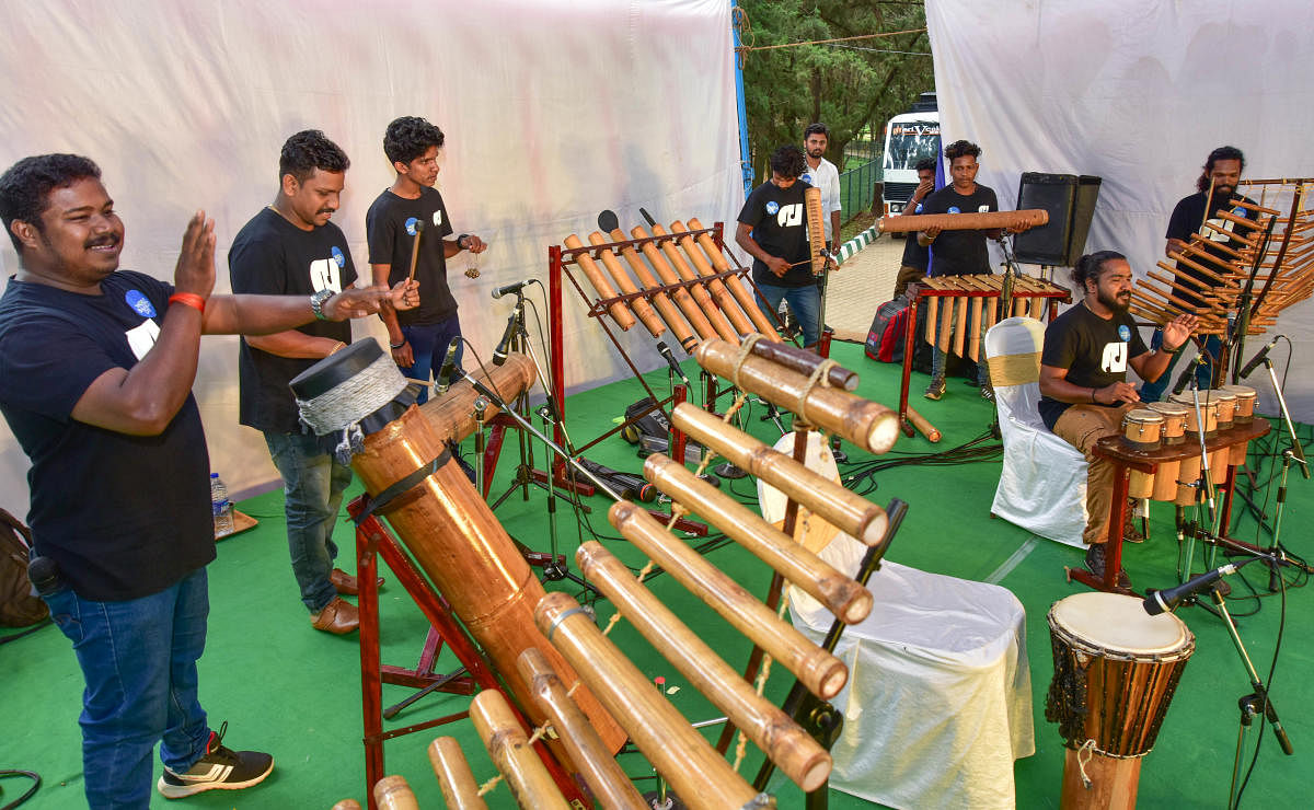 Bamboo is used in the making of musical instruments