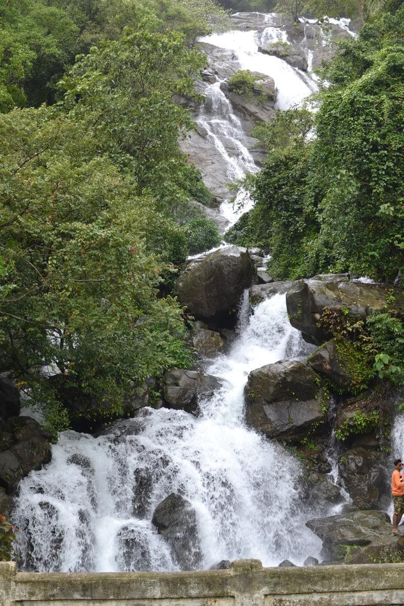 Waterfall along a highway near Kadra in Karwar taluk. DH Photo