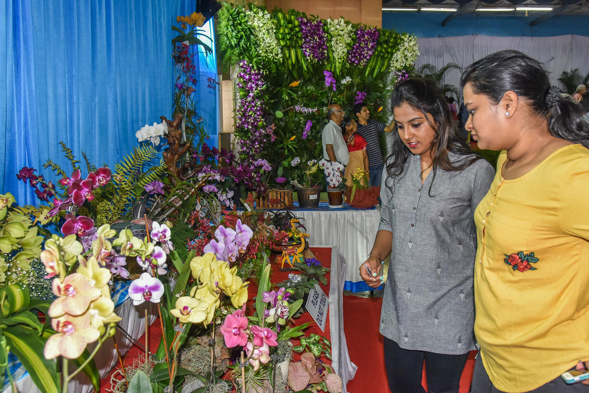 Visitors at the two-day orchid show organised by The Orchid Society of Karnataka (TOSKAR) at Lalbagh on Saturday. dh photos by S K Dinesh
