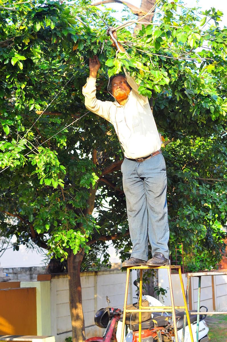 Hyder Ali Khan at work in Mysuru; green canopies at a school. Photos by author