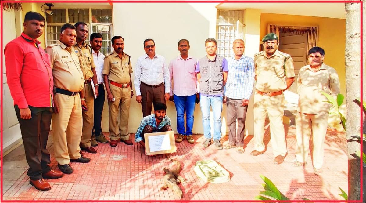 A 29-year-old man, Chinna, a member of the Hakki Pikki community in Kolar, was arrested on Nov 23, 2019, while trying to sell a live monitor lizard in KR Puram. FOREST DEPARTMENT
