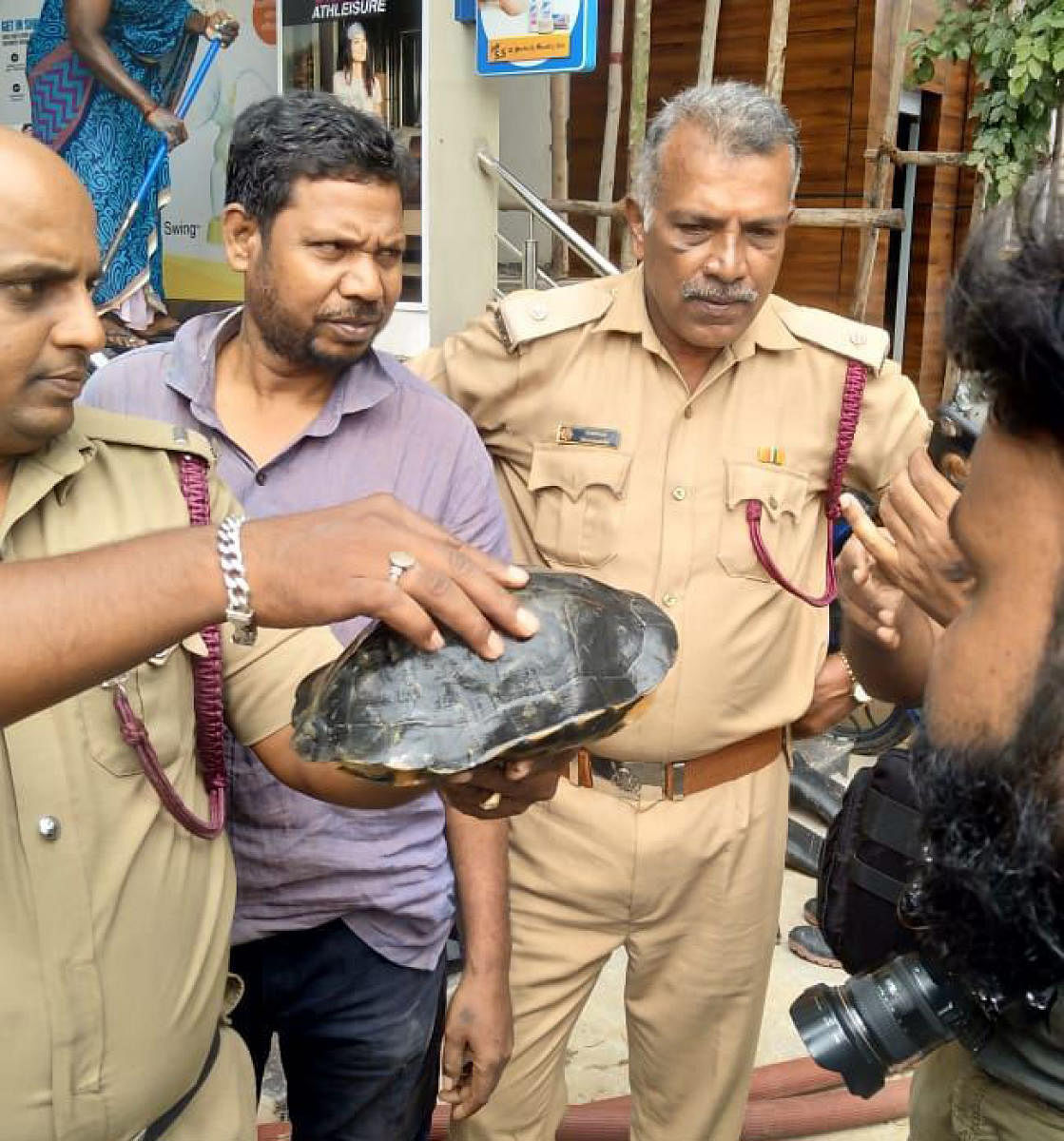 More than 10 volunteers of the Bruhat Bengaluru Mahanagara Palike (BBMP) wildlife cell, led by deputy conservator of forests (DCF) Ranganatha Swamy, were on constant vigil around the locality, and in less than 24 hours rescued about 16 snakes and a couple of terrapins (turtles) braving difficult conditions.