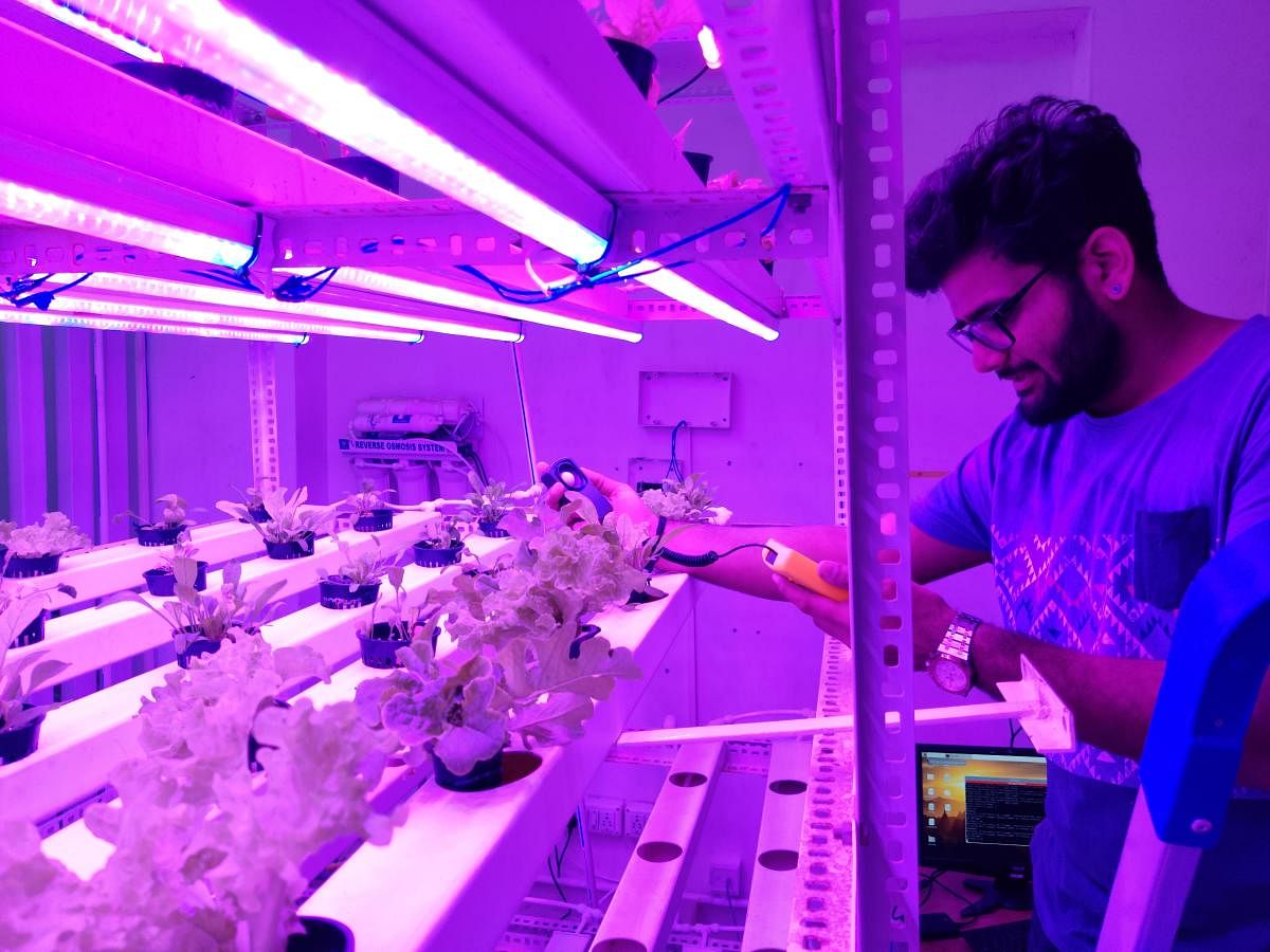 The 'Hydroponics Monitor' developed by a student from Atria University, Hebbal. 