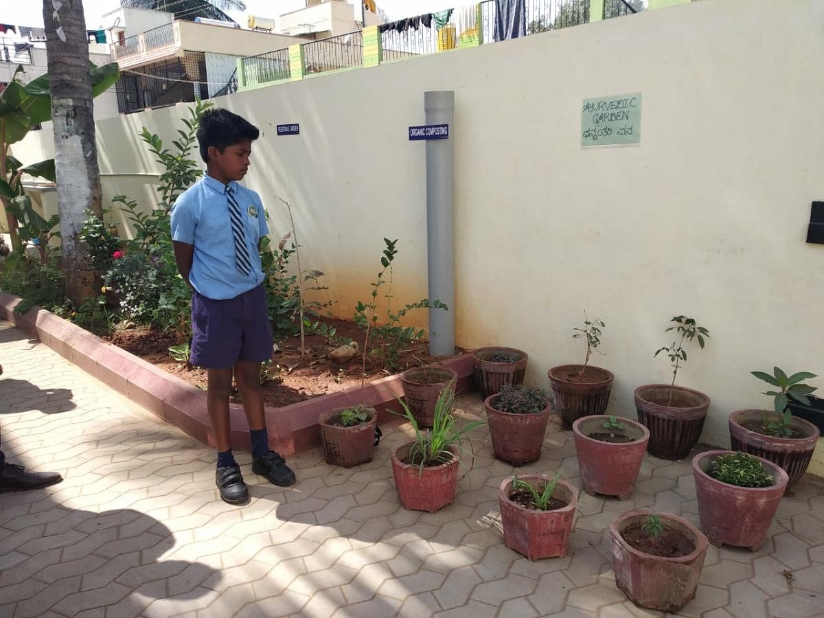 Students maintain the herbal garden in the school.
