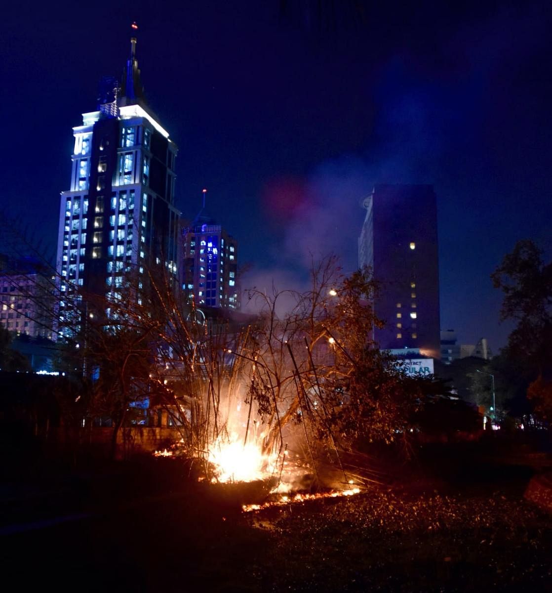The fire in Cubbon Park late on Saturday night. SPECIAL ARRANGEMENT