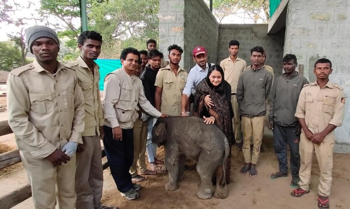 The Bannerghatta Biological Park celebrated the special day by naming a 15-day-old elephant calf as ‘Saraswathi’. The calf was adopted by a city-based couple for a year.