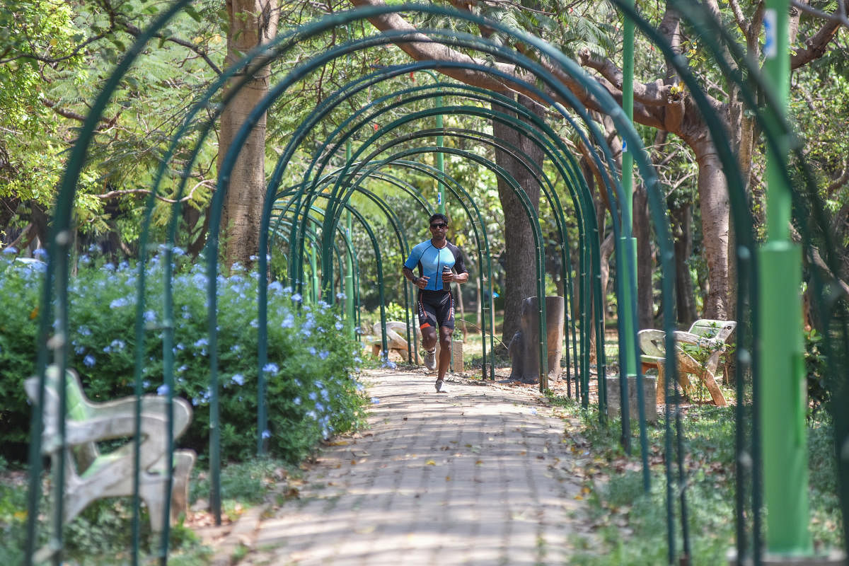 A new jogging track is also coming up at Cubbon Park. Credit: DH Photo