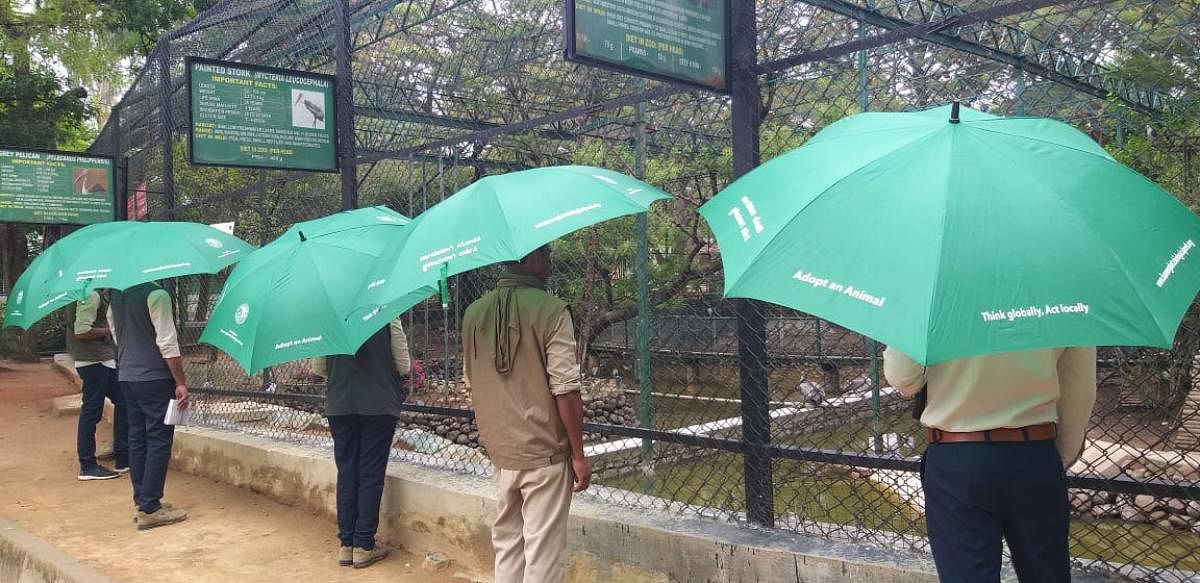 BBP officials experiment with umbrellas to ensure strict implementation of the social distancing rules post lockdown. Special Arrangement
