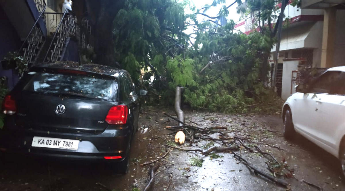 A tree falls on cars at KR Garden, HAL 2nd Stage, causing extensive damage. Special arrangement