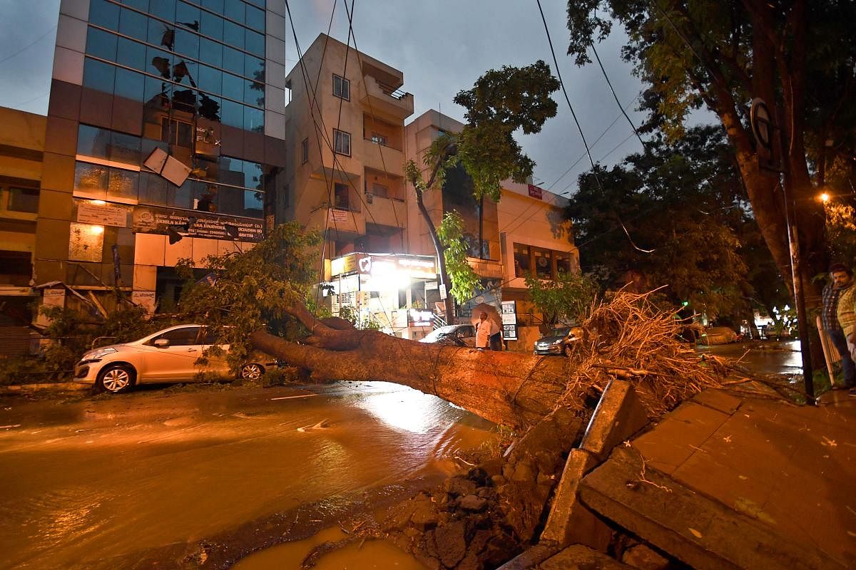 A huge tree was uprooted at 17th Cross, Malleswaram, damaging a car and blocking vehicular movement. DH Photo/Pushkar V