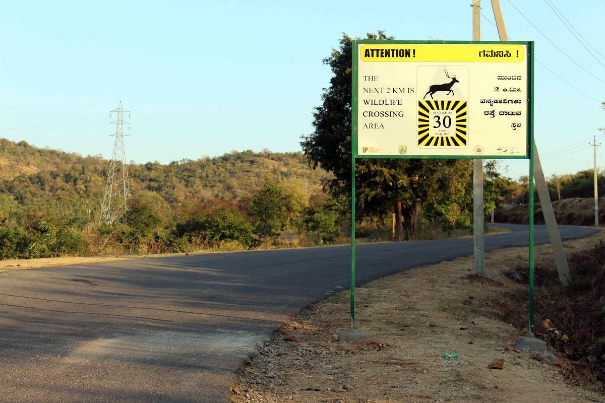 Scientifically installed road humps, signboards, and awareness programmes for drivers ensure smooth wildlife movement despite the vehicular traffic on State Highway 38 that bisects the Doddasampige-Edyaralli corridor. Photos by Sanjay Gubbi