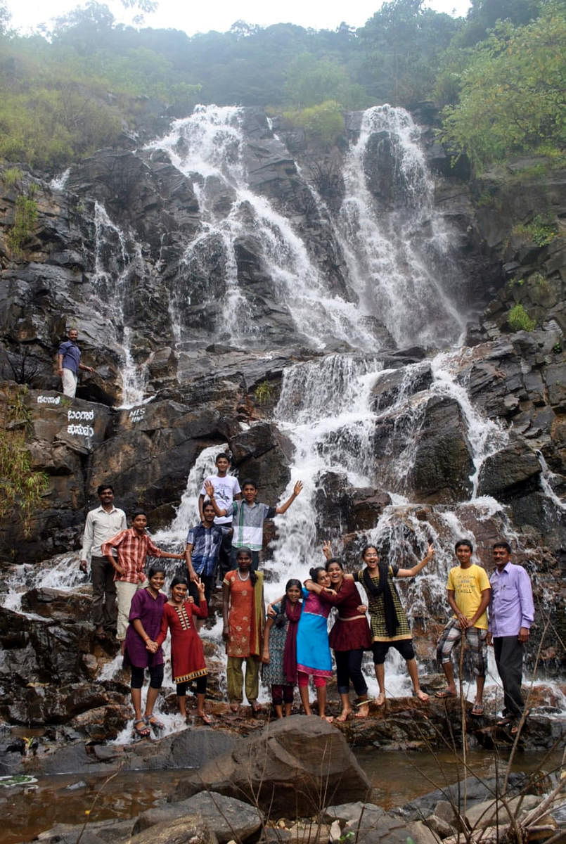 Bangara Kusuma waterfalls in Gerusoppa, Honnavar taluk. 