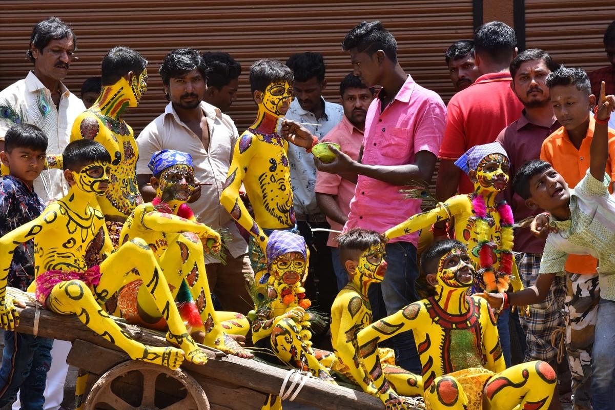 In North Karnataka, Hindus and Muslims get themselves painted with tiger stripes during Muharram. DH Photos by Tajuddin Azad 