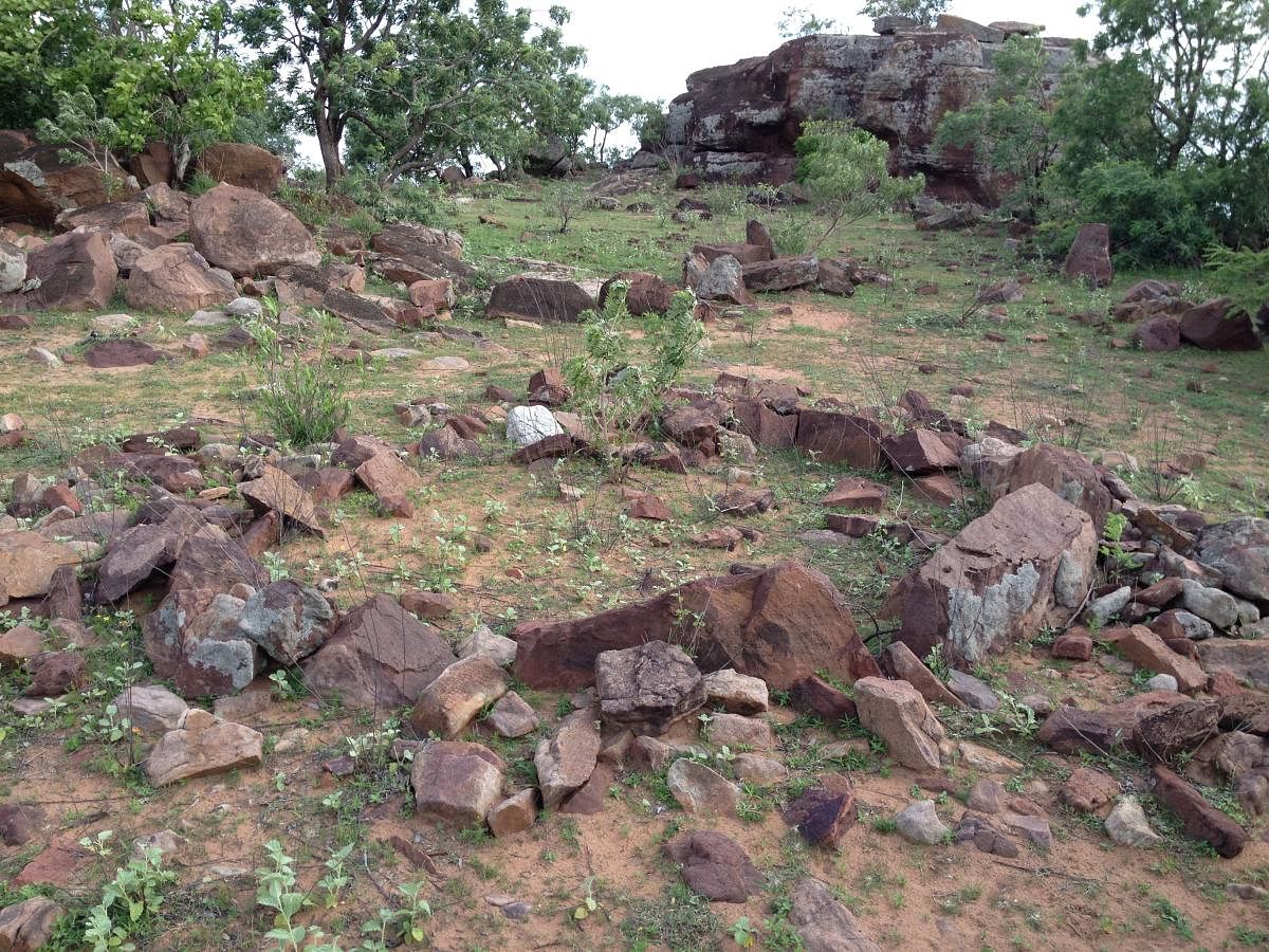 A stone circle megalith at Motara Maradi. Photo credit: Srikumar M Menon