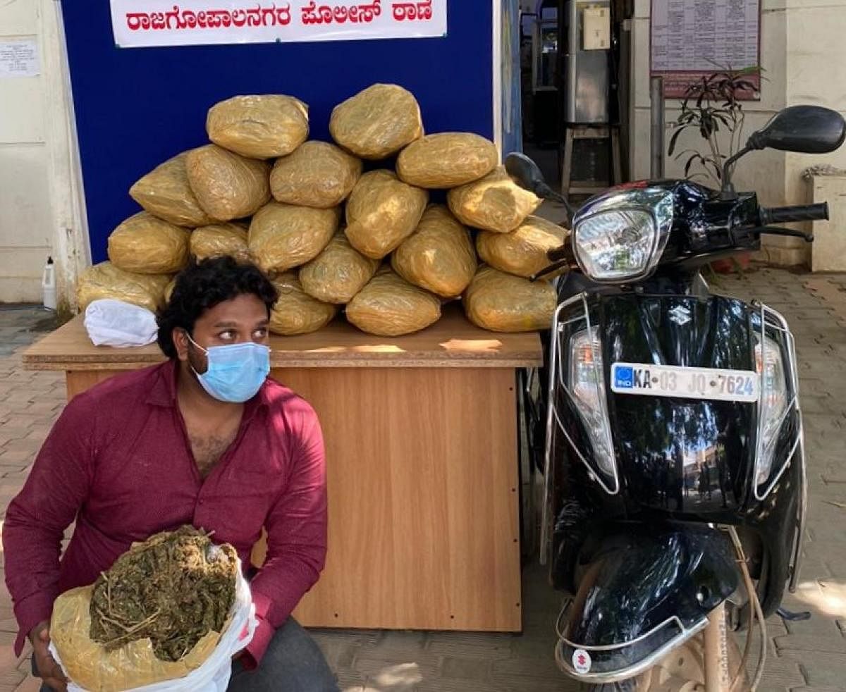 Accused Ameer Ahmed with 30 kgs of marijuana, which police seized from his possession.