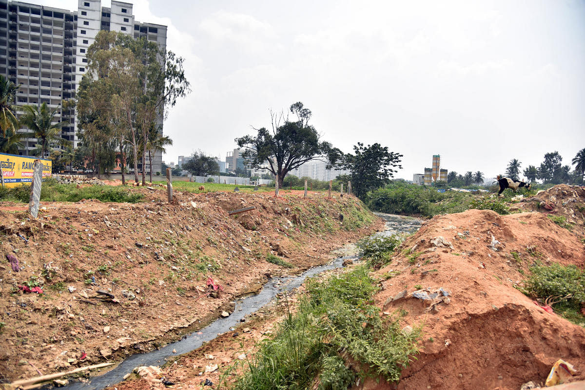 The state of a drain in Rachenahalli.. DH PHOTOS / S K DINESH & JANARDHAN B K