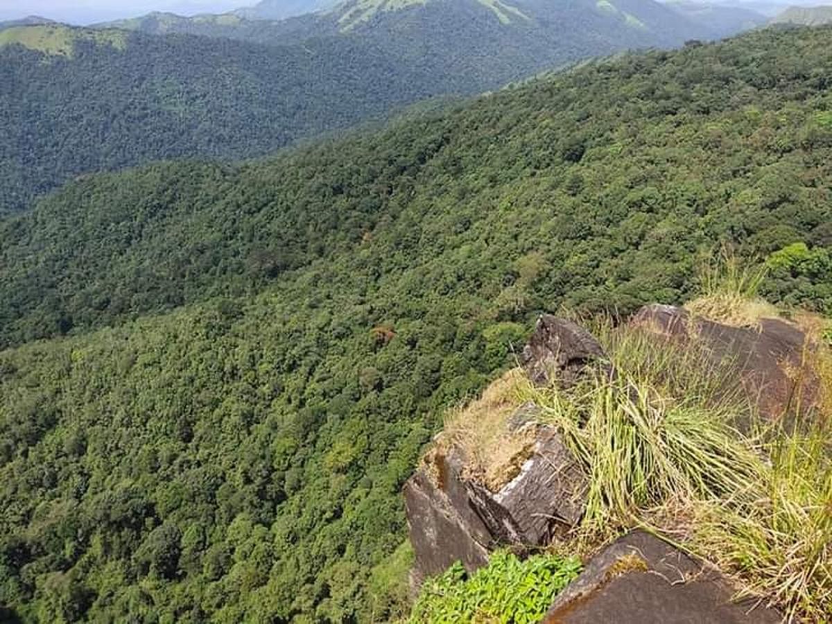A view of the Western Ghats. Photo courtesy: Dinesh Holla  