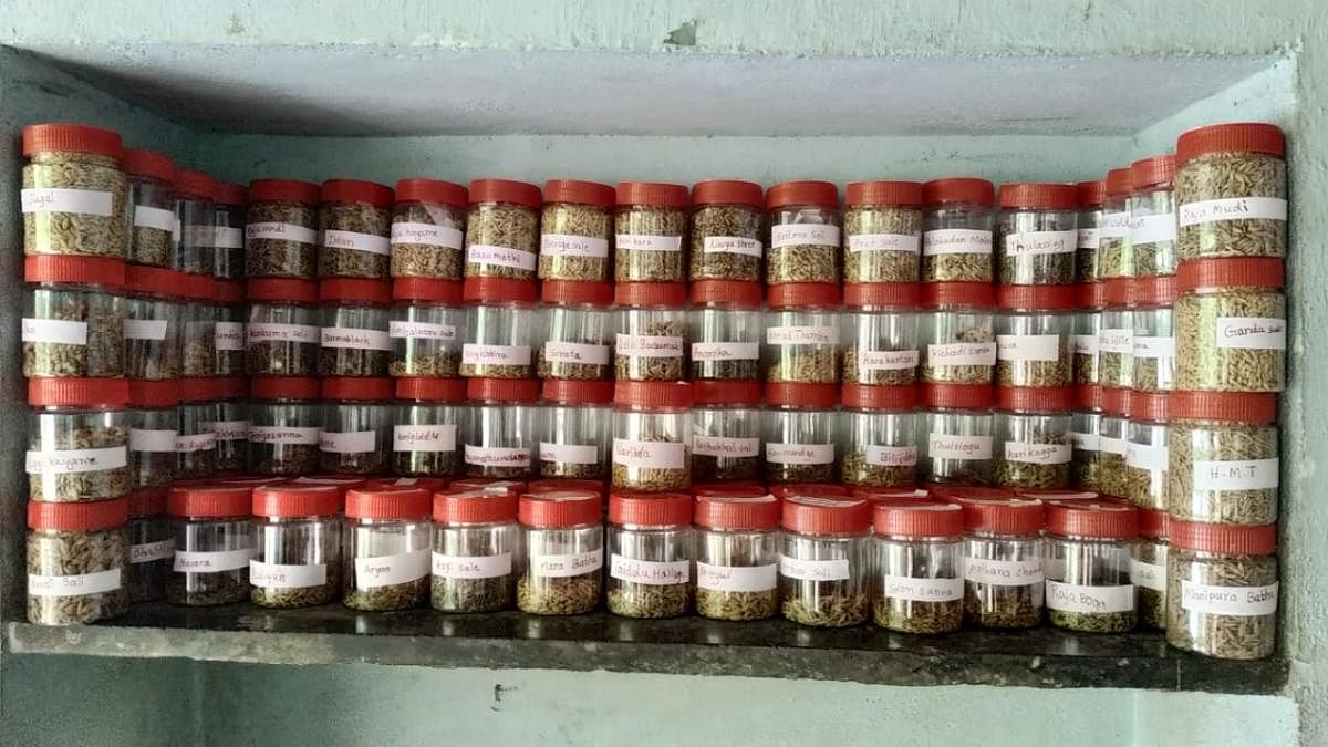 Seeds stored at a local community seed bank in Kasargod.