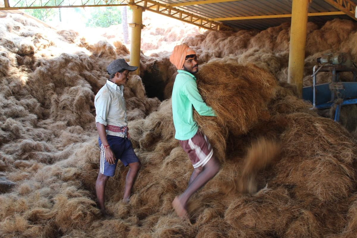 Workers move the coir fibre for drying; Satish Poojary supervises the coir fibre being loaded into a truck; the finished coir ropes are ready for transport. Photos by Siddharth
