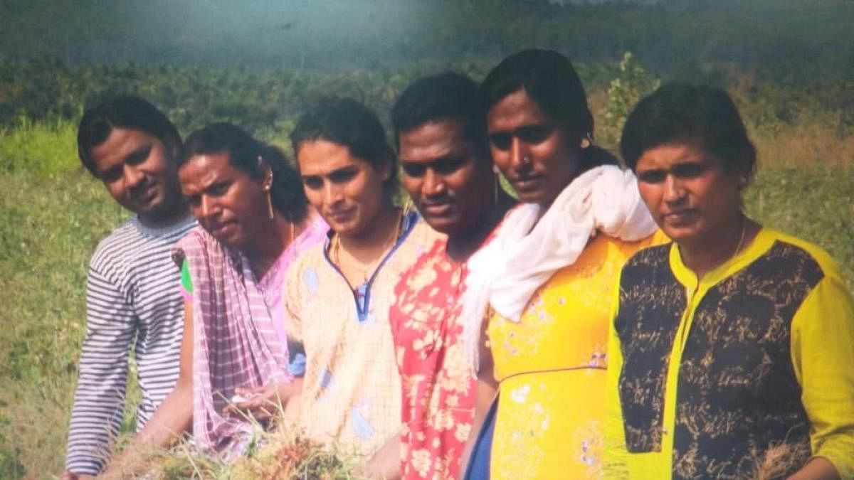 Six members (top) of the transgender community engaged in farming in Chikkamagaluru. 