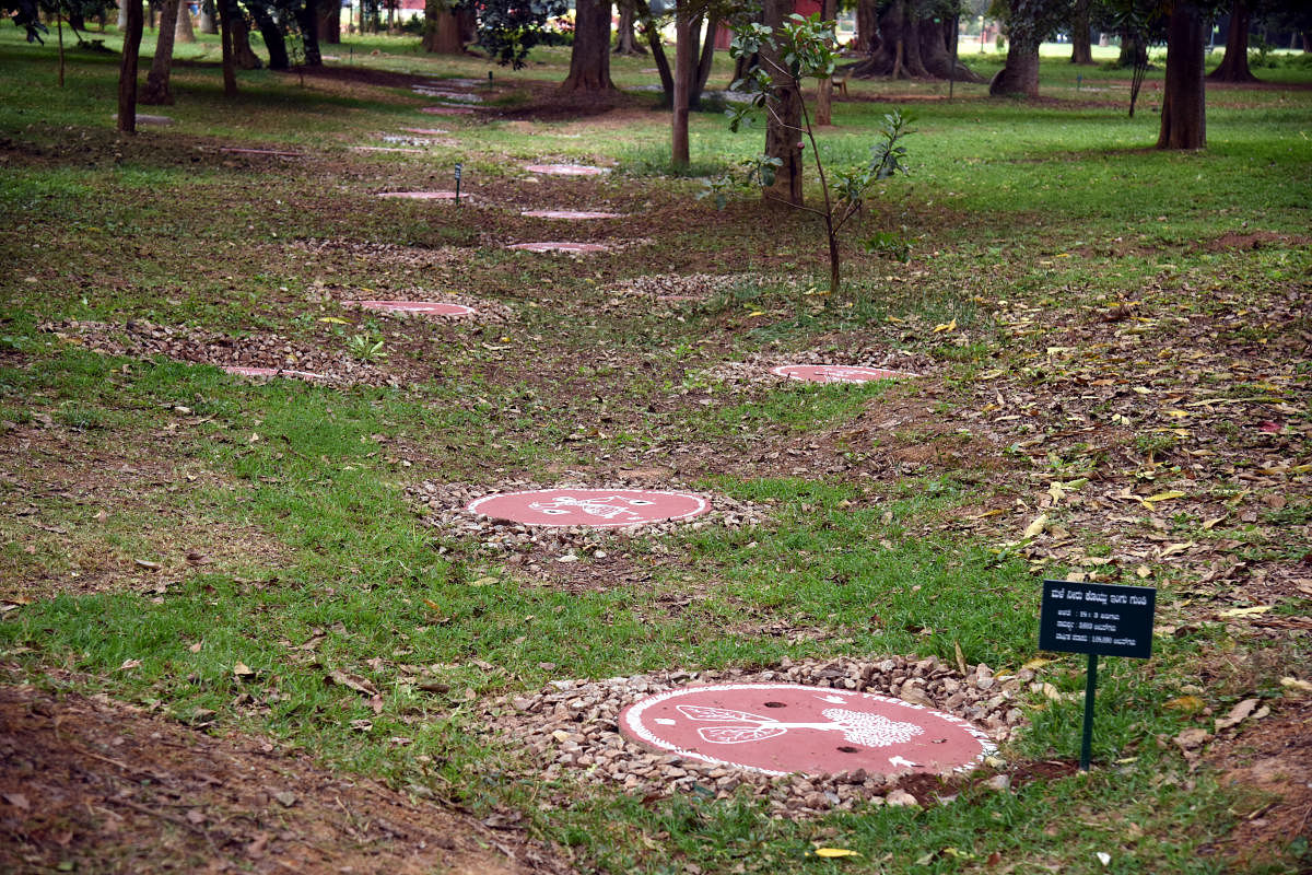 Percolation pits at Lalbagh to harvest rainwater and recharge groundwater. Credit: DH Photo/ S K Dinesh