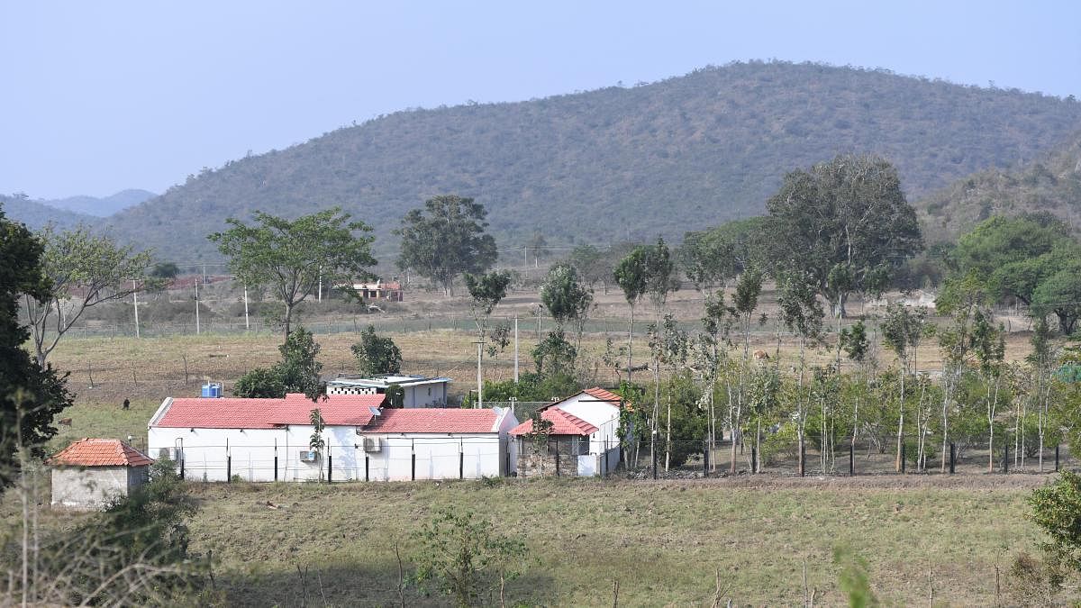 Illegal structures at Mangala village, an eco-sensitive zone adjacent to Bandipur. Credit: DH Photo
