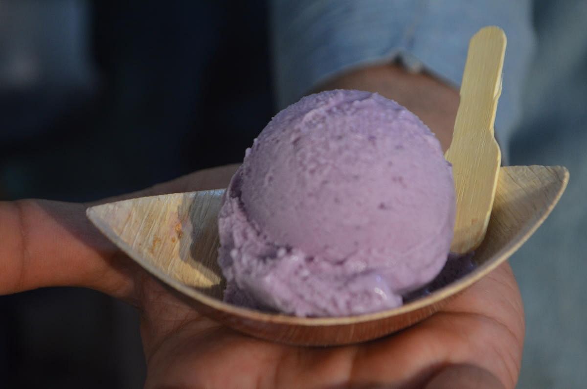 Purple yam ice cream. Photo by Krishna Prasad