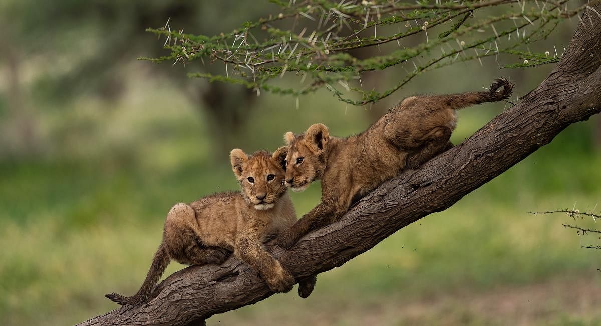 Count on me. Ndutuo, Tabora, Tanzania