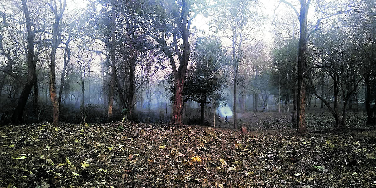 Smoke at the forest at Antharasanthe range, H D Kote taluk, on Thursday.