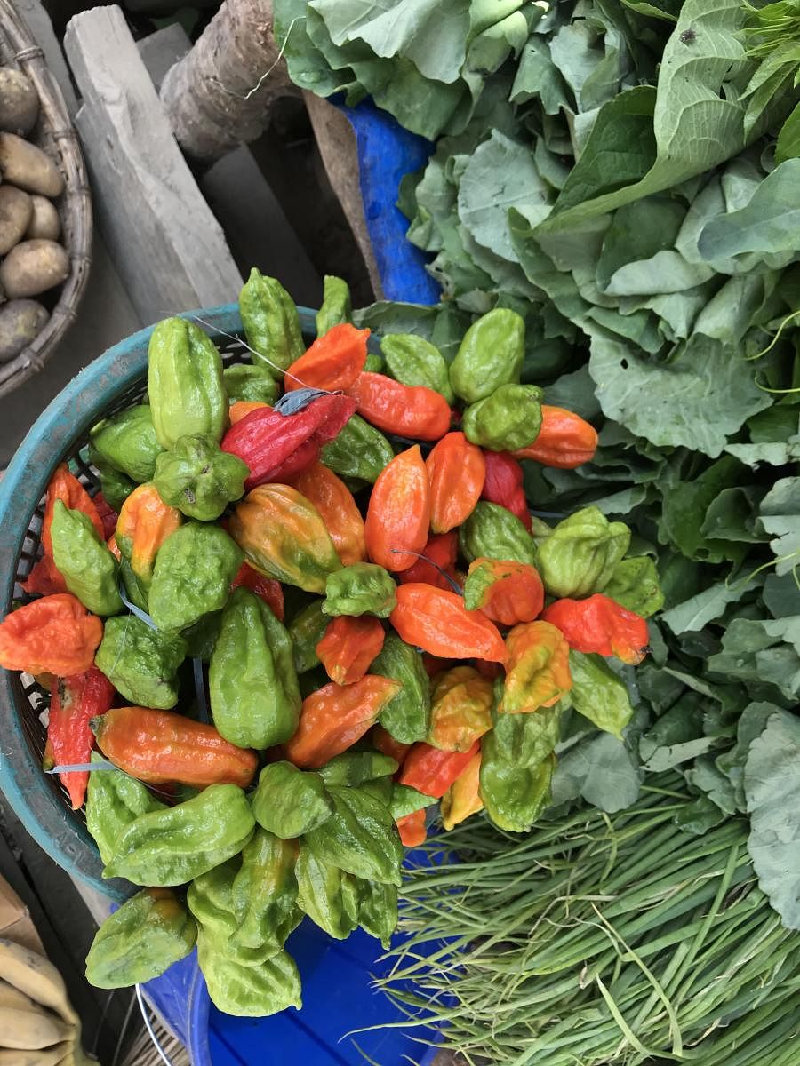 Tezpur chillies from North East. PHOTO BY AUTHOR