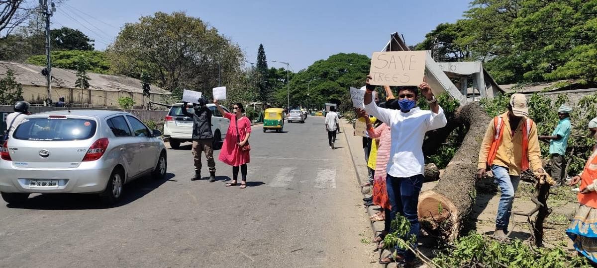 Protests erupted during the weekend over the axing of the trees at the Old Airport Road–Suranjan Das Road junction. SPECIAL ARRANGEMENT  