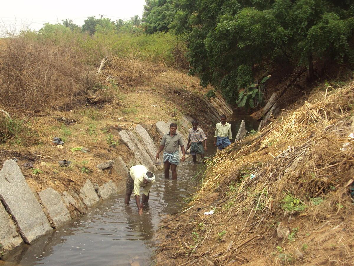 Farmers work to desilt a Talaparige. Photo by Mallikarjuna Hosapalya