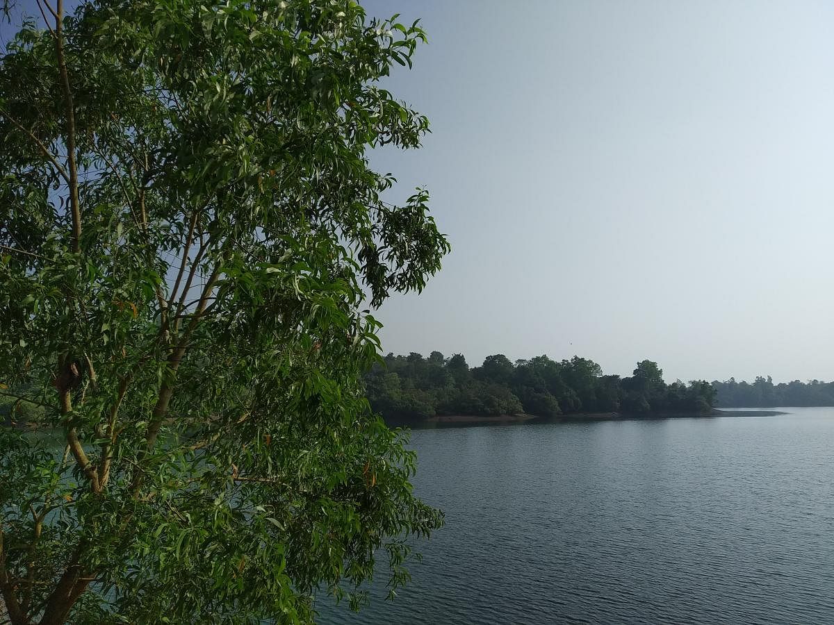 Sharavati backwaters