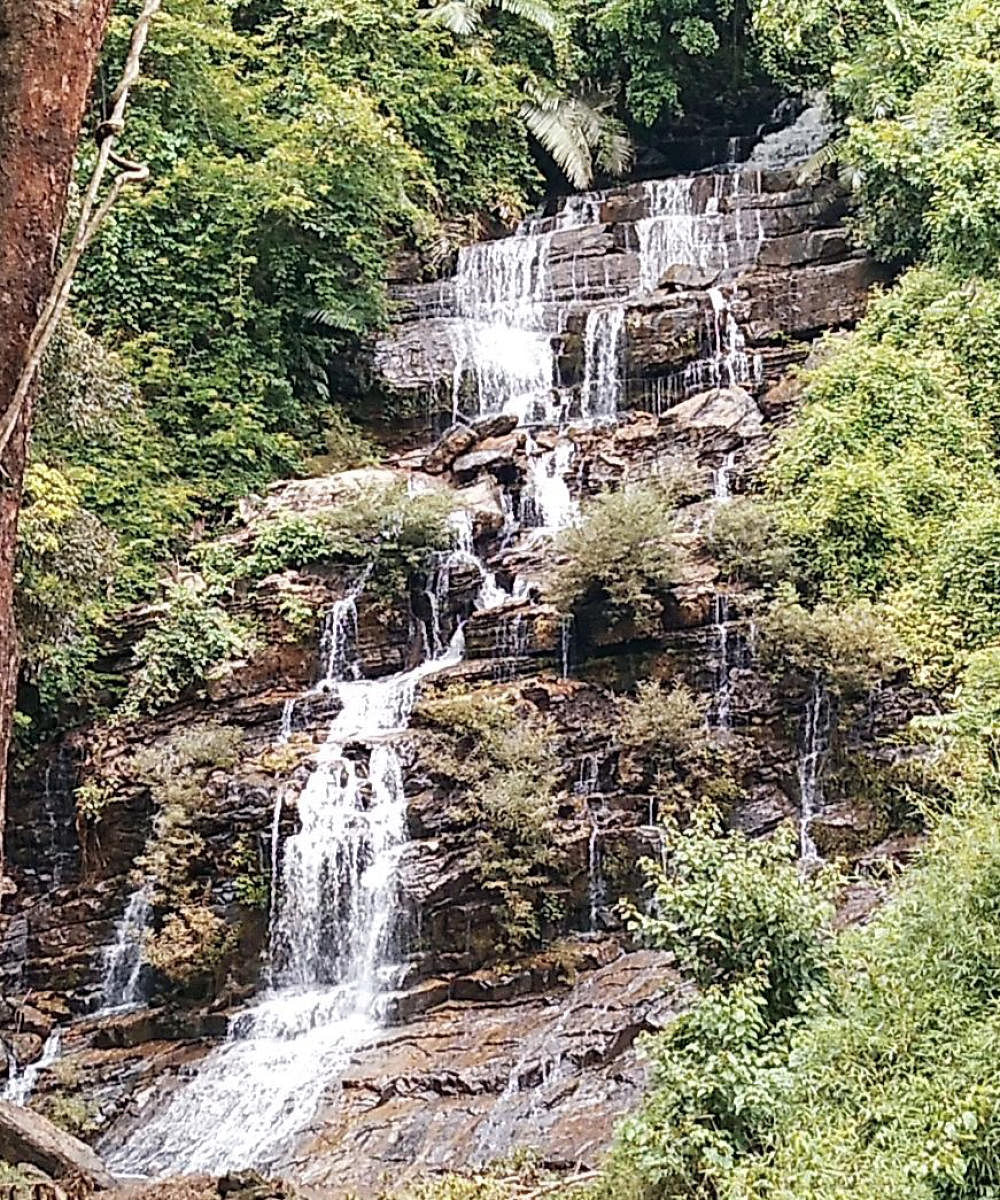 Kumbraal waterfall in Yellapur taluk, Uttara Kannada, comes alive during monsoon.