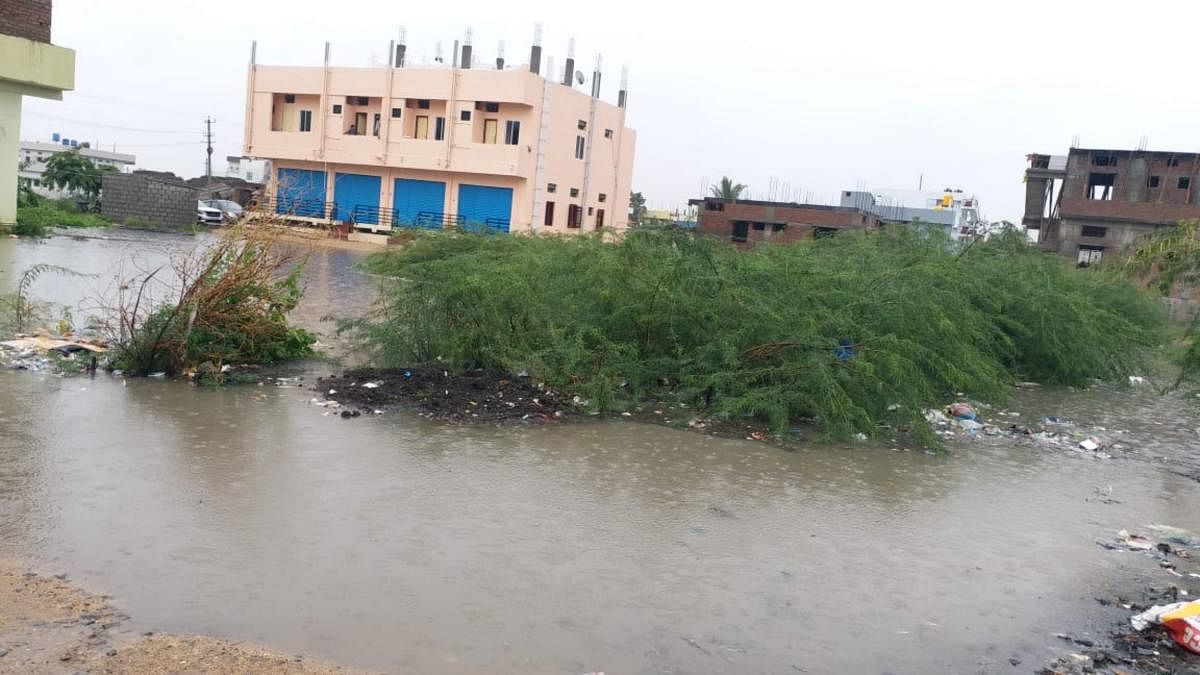 Water engulfs the Allamaprabhu colony in Raichuru due to heavy rain. 