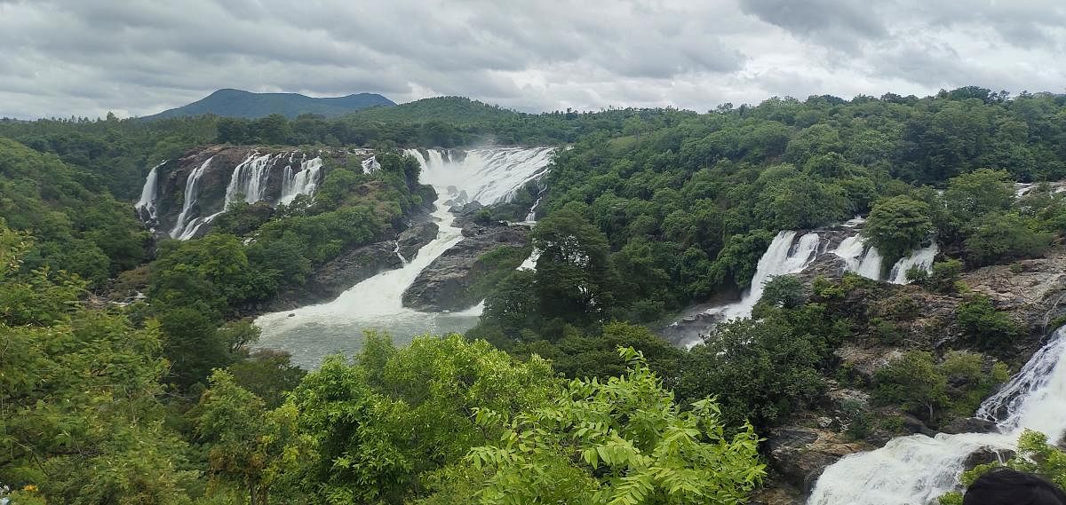 The Bharachukki Falls in Kollegal taluk of Chamararajnagar district is in full glory following heavy rain on Sunday. DH Photos/Avin Prakash V