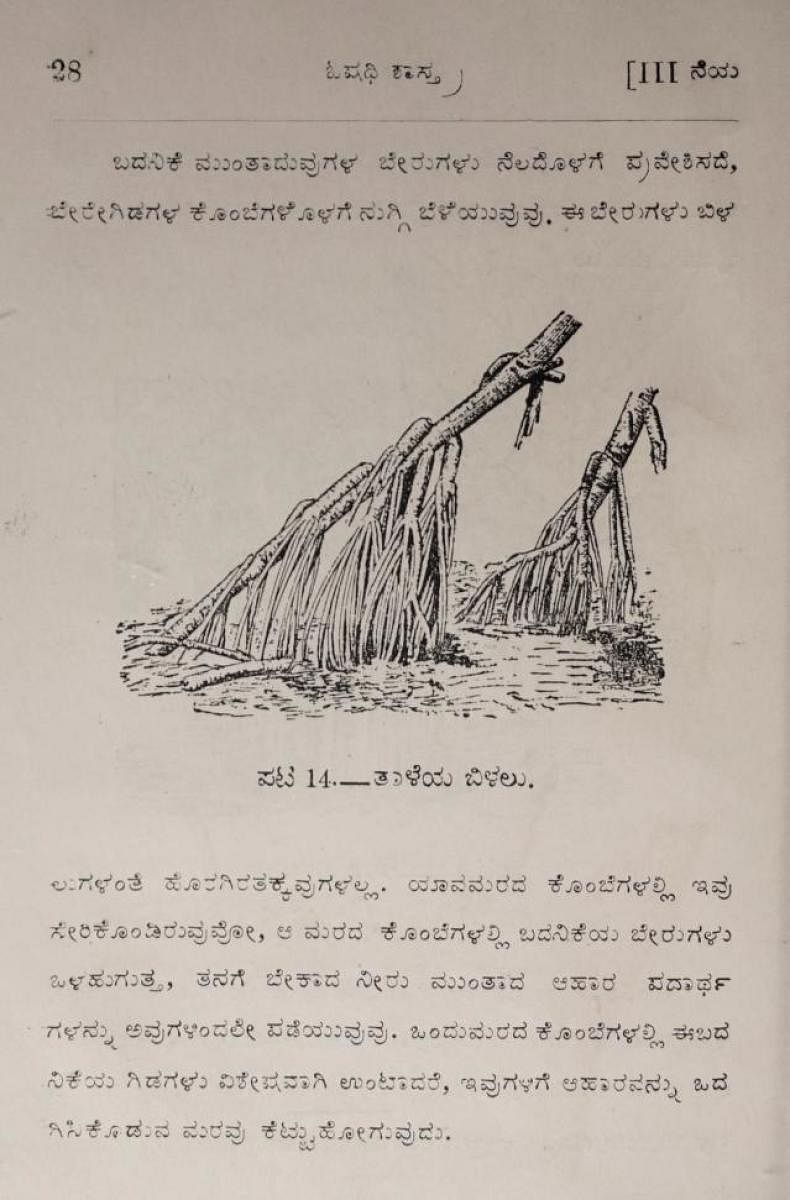 Pages from the book on Botany from 1909 by K C Rangachari, one of the first of its kind