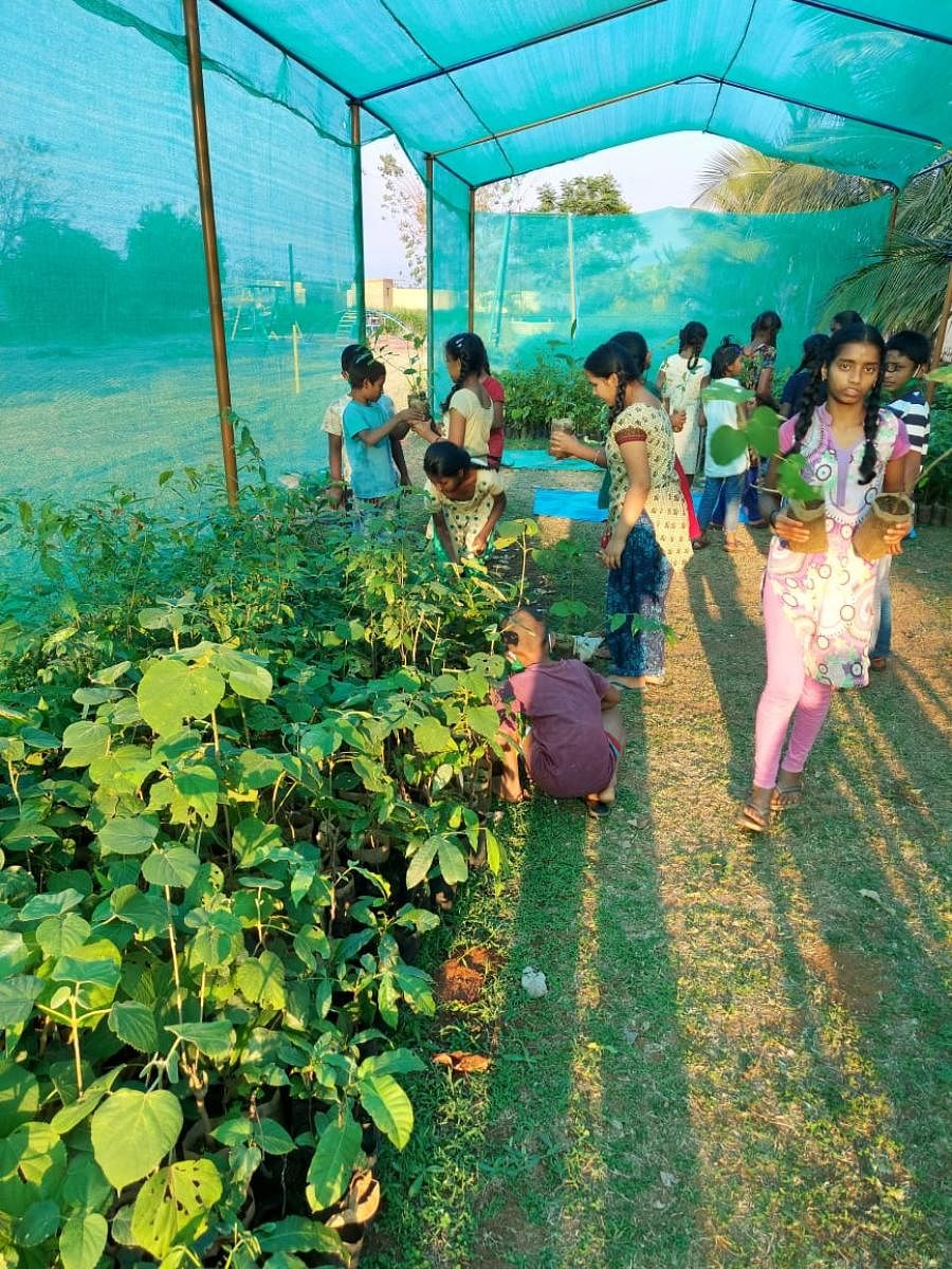 Children nurture seedlings at Deenabandhu Girls' Home nursery in Chamarajanagar.