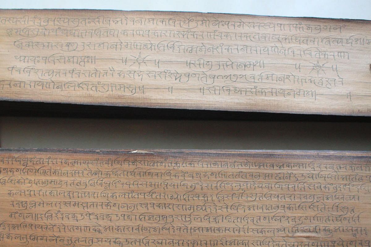 A close up of the pal, leaf manuscripts