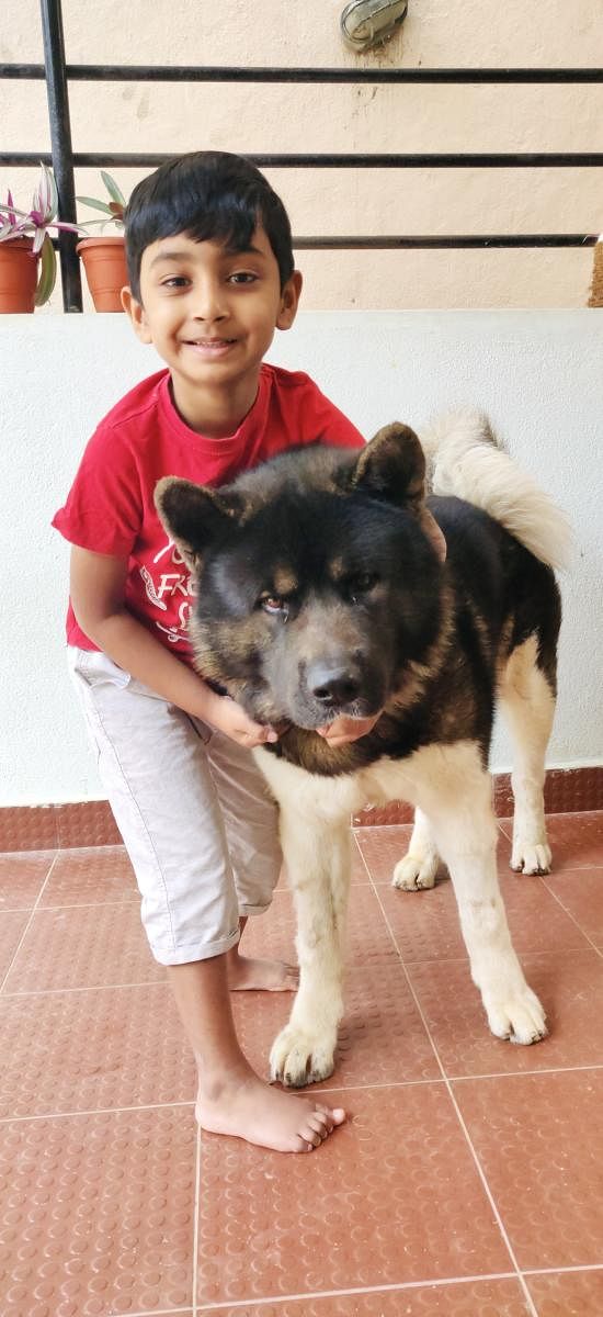 Shaun Leon Victor shares an inseparable bond with Max, the American Akita. Credit: DH Photo