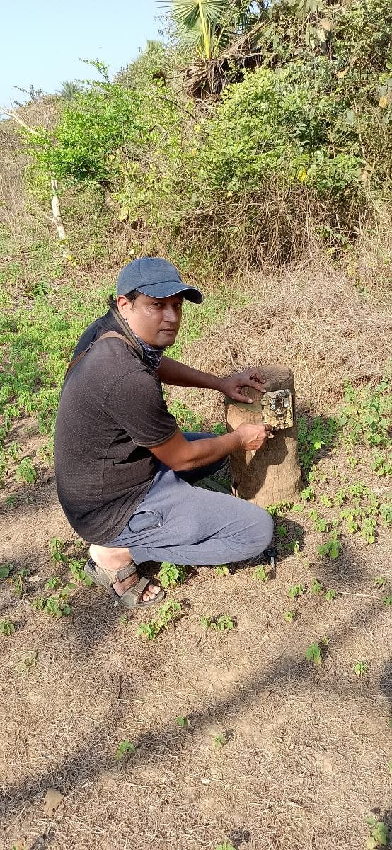 Imran Iqbal Udat sets up a camera trap near the Aarey Milk Colony. Photo credit: Mrityunjay Bose