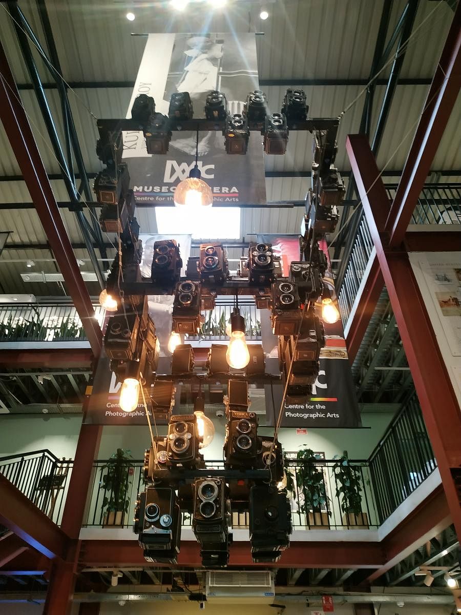 Chandelier of twin lens reflex cameras. PHOTO BY AUTHOR
