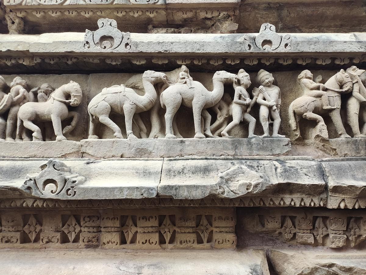 Camels depicted at the Lakshmana Temple, Khajuraho, Madhya Pradesh. Photos by Srikumar M Menon 