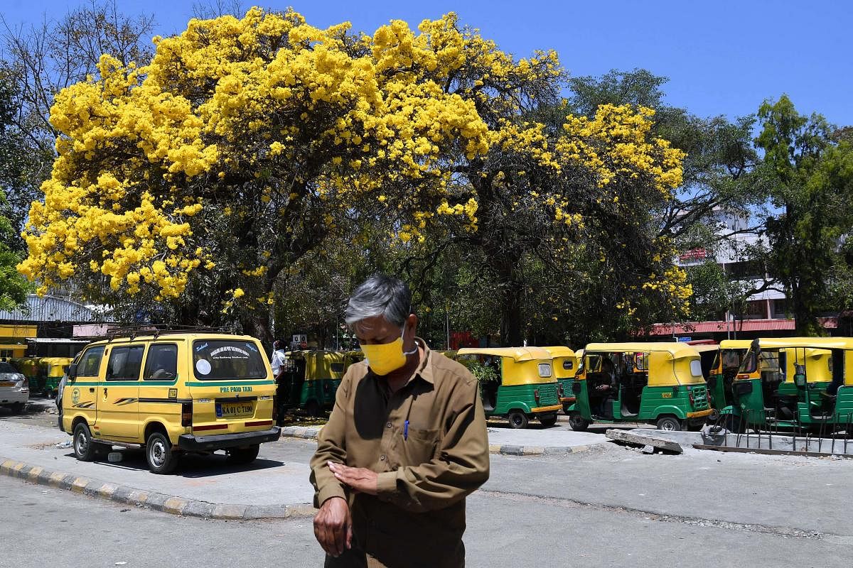 A portrait of Bengaluru in bloom. When you take a picture, it is important to pay attention to the lighting, and look for interesting angles and patterns. Credit: DH photo/Pushkar V