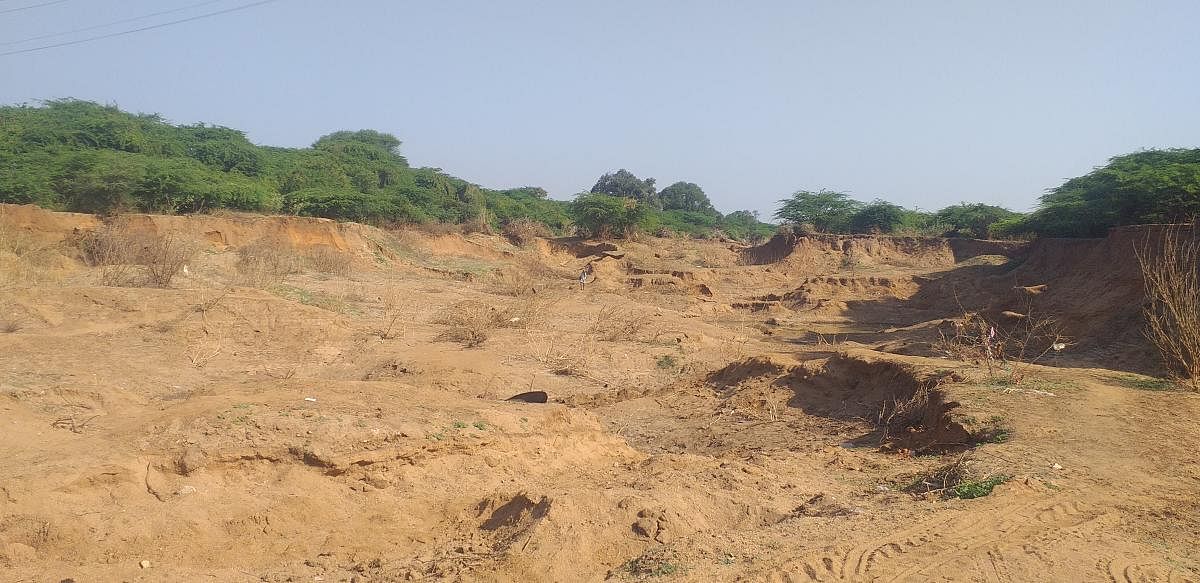 The banks of the Jayamangali ravaged by sand mining. DH Photo