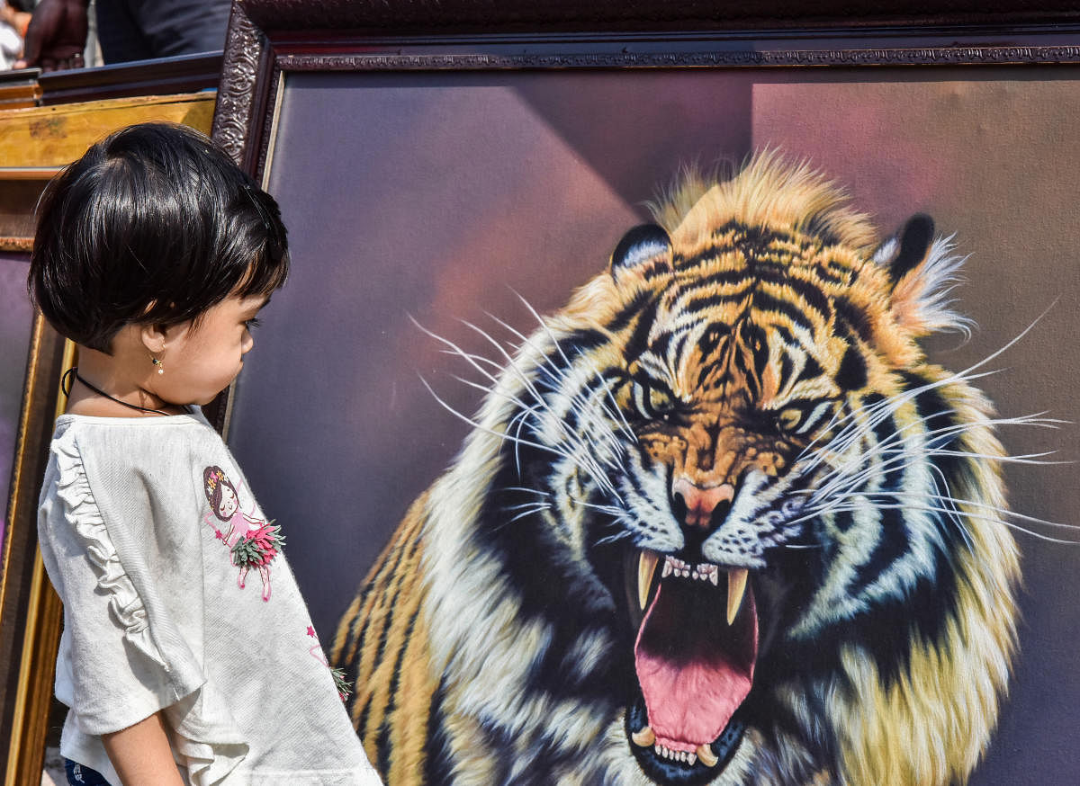 This child looks more curious and less intimated by this painting of a roaring tiger.