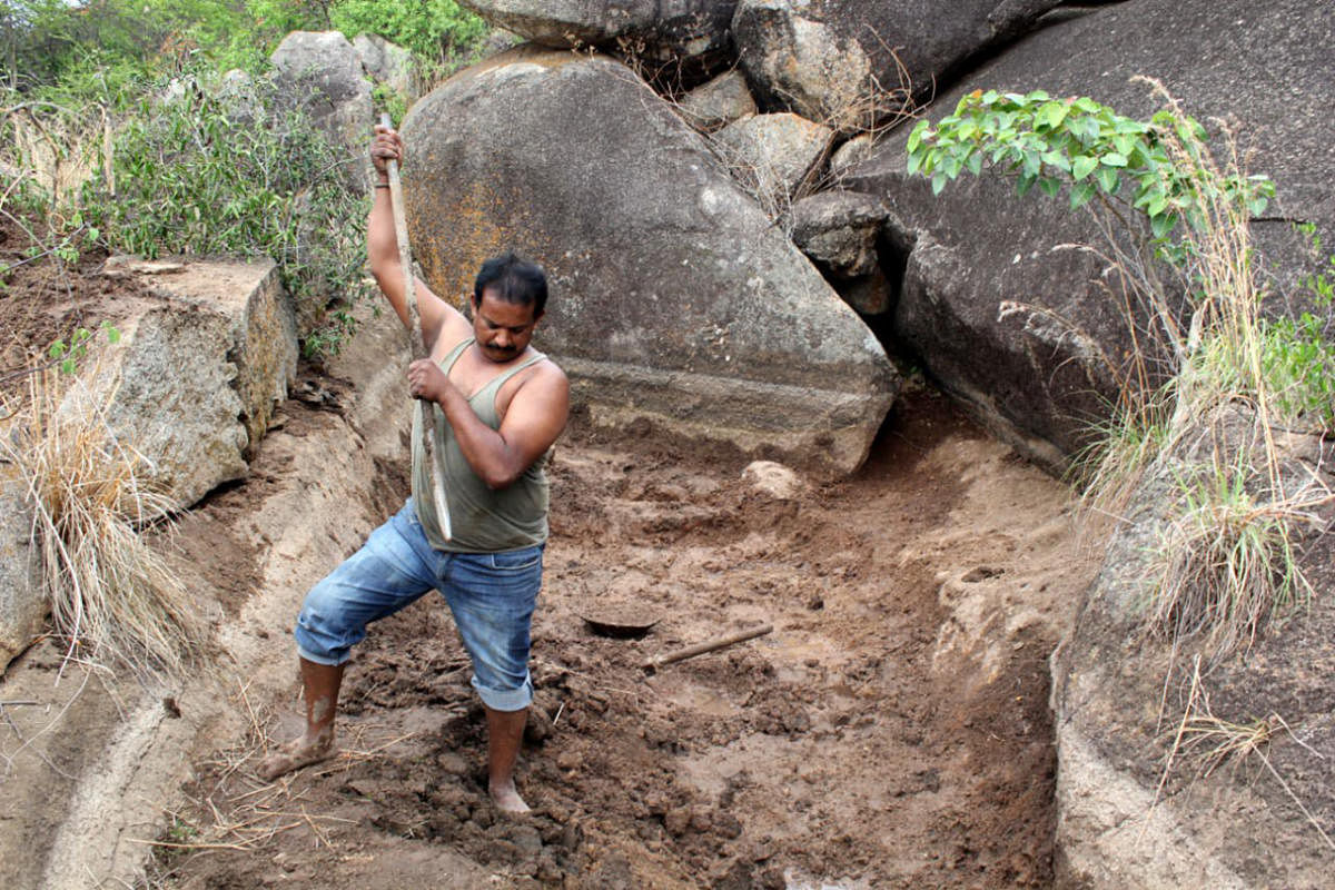 Nagaraj digging waterholes near the Jogimatti forest area in Chitradurga. Credit: DH Photo